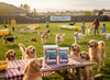 Much Loved Dog™ - Blueberry Burst, Set