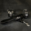 Maximus Black&Silver Small dog SET - Harness - collar - lead