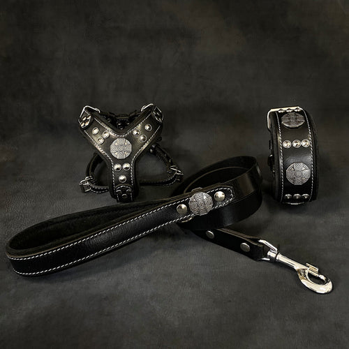 Maximus Black&Silver Small dog SET - Harness - collar - lead