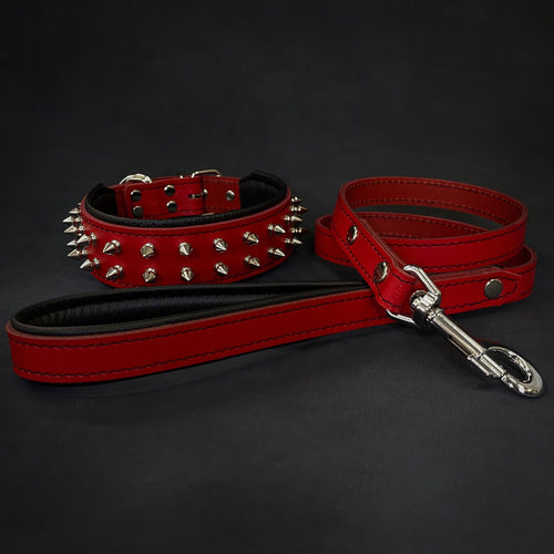 Red Frenchie collar