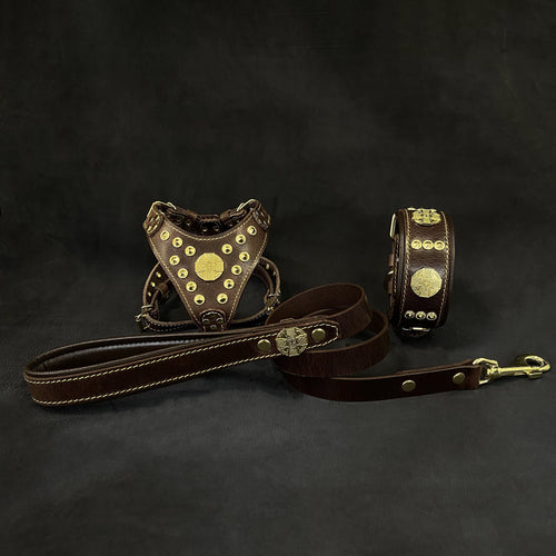 Maximus Brown&Gold Small dog SET - Harness - collar - lead