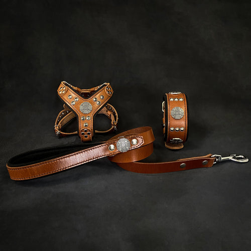 Maximus Brown&Silver Small dog SET - Harness - collar - lead