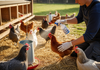 Banixx ChiXX Chicken Care Spray 8 oz. Poultry Skin & Coop Care Odor-Free 2-Pack