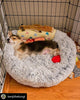 Mr. Peanut's 28 OrthoPlush® Pet Bed - Snowflake White Two Tone