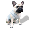 ACTIVE COOLING SHIRT