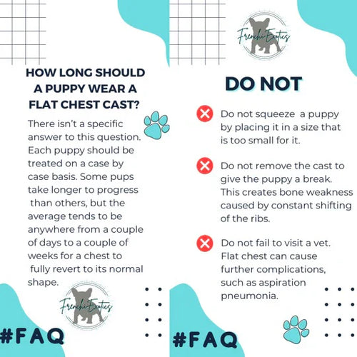 Puppy Flat Chest protector & treatment bundleAll Sizes