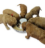 Stainless steel Weaning puppy food bowls