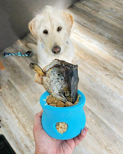 Salmon Head (2 Halves/Farm Raised)