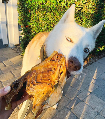 Chicken Frames (Chunked)