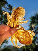 Baby Octopus (Wild Caught)