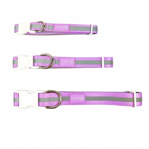 Shine Bright - Amethyst Collar