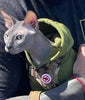 NO RAT PVC Morale Patch