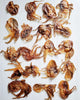 Baby Octopus (Wild Caught)