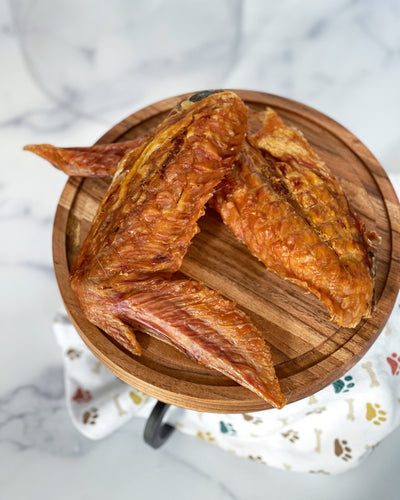 Turkey Wing