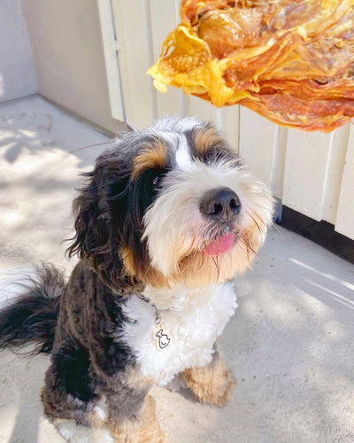 Chicken Frames (Chunked)