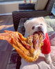 Turkey Wing