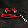 Frenchie Set- collar & leash. Red