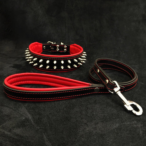 Frenchie Set- collar & leash. Red