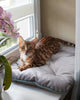 Tomas Pillow for Cats