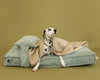 Memory Foam Dog Bed