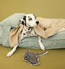 Memory Foam Dog Bed