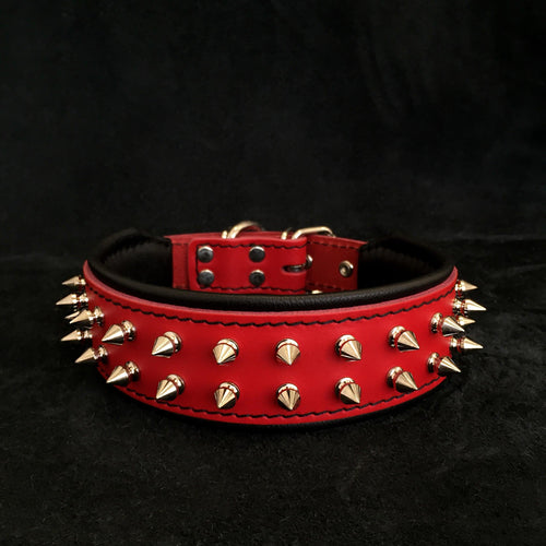 Red Frenchie collar