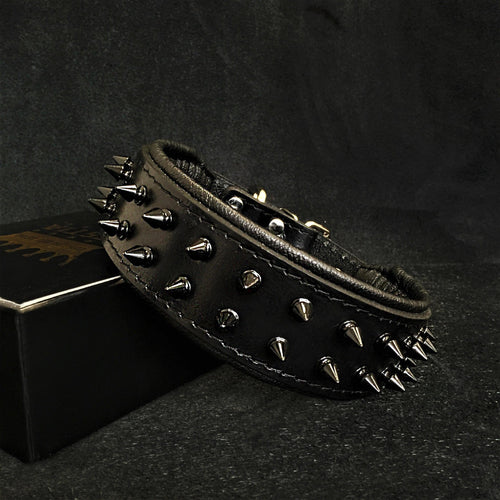 BLACK Frenchie collar