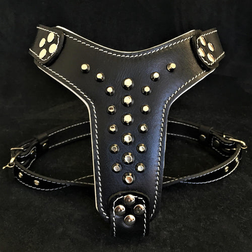 The Rocky studded leather harness Small to Medium Size