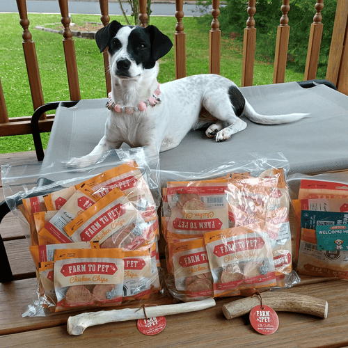 REINDEER ANTLERS FOR DOGS | ANTLER DOG CHEWS FOR AGGRESSIVE CHEWERS