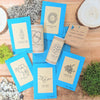 Indoor Blooms Seed Collection