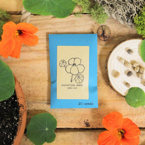 Indoor Blooms Seed Collection