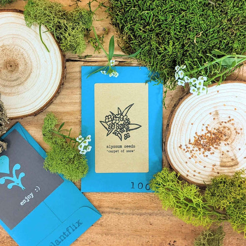 Indoor Blooms Seed Collection