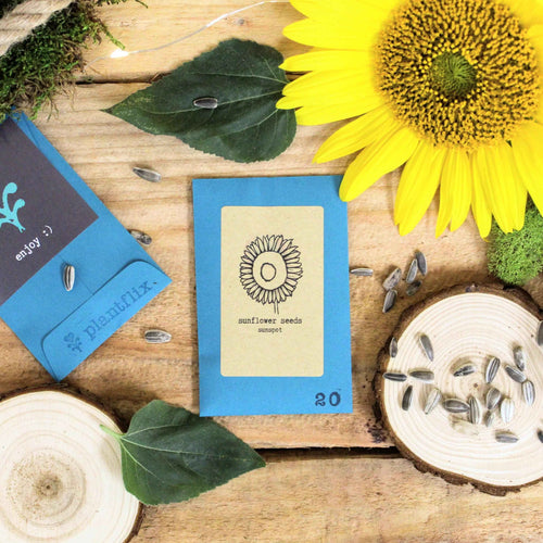 Indoor Blooms Seed Collection