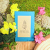Indoor Blooms Seed Collection