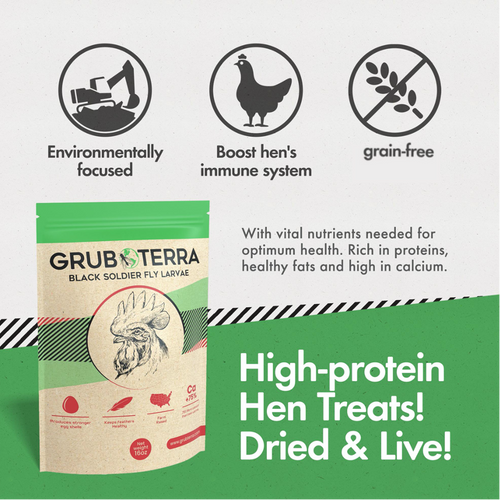 GrubTerra Black Soldier Fly Larvae