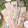 Grow your own Jungle Houseplant Seed Collection