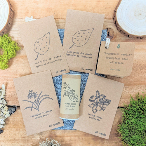 Houseplant Newbie Houseplant Seed Collection