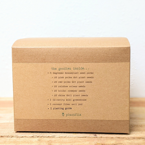 Grow an Indoor Jungle Houseplant Seed Kit