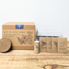 Grow an Indoor Jungle Houseplant Seed Kit