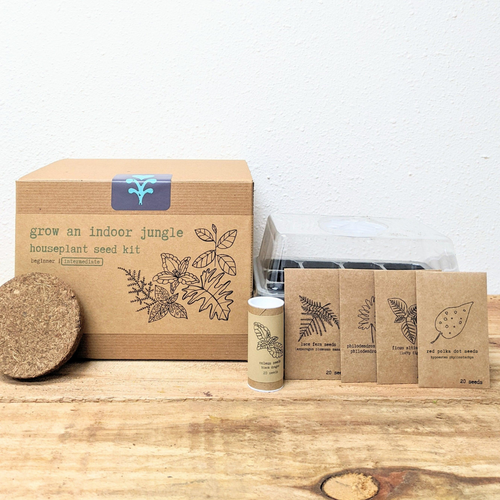 Grow an Indoor Jungle Houseplant Seed Kit
