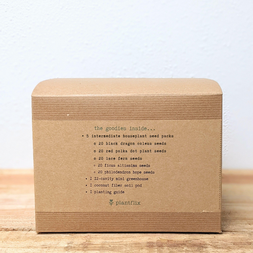 Grow an Indoor Jungle Houseplant Seed Kit