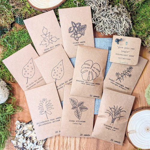Grow your own Jungle Houseplant Seed Collection