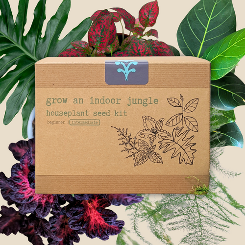 Grow an Indoor Jungle Houseplant Seed Kit