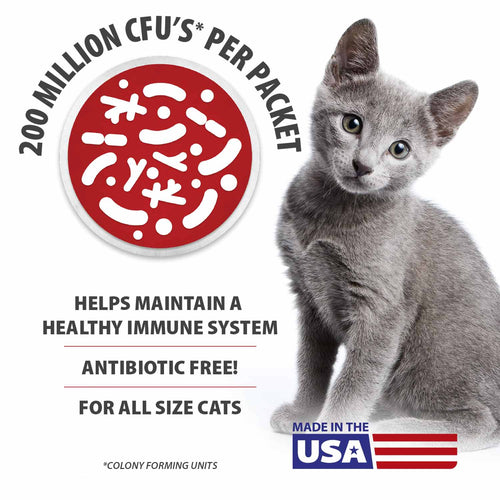 Jeffers BELLY BUDDY Probiotic Supplement Packets for Cats – Multi-Strain Digestive & Immune Support