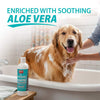 Jeffers Medicated 2% Chlorhexidine Shampoo for Dogs, Cats & Horses
