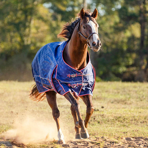 Jeffers Poplar Head Origin 600D Medium Weight Turnout Blanket, 240g | Waterproof & Breathable Horse Blanket