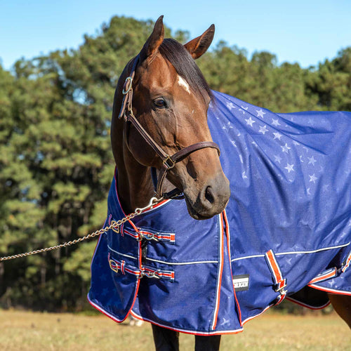 Jeffers Poplar Head Origin 600D Medium Weight Turnout Blanket, 240g | Waterproof & Breathable Horse Blanket