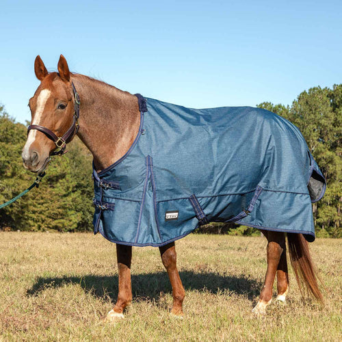 Jeffers Poplar Head Origin 600D Medium Weight Turnout Blanket, 240g | Waterproof & Breathable Horse Blanket