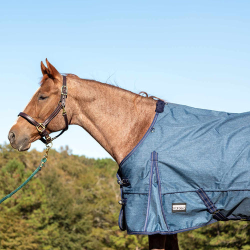 Jeffers Poplar Head Origin 600D Medium Weight Turnout Blanket, 240g | Waterproof & Breathable Horse Blanket