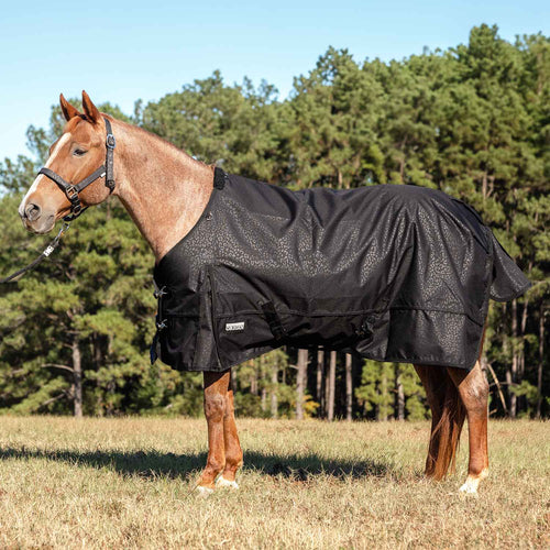 Jeffers Poplar Head Origin 600D Medium Weight Turnout Blanket, 240g | Waterproof & Breathable Horse Blanket